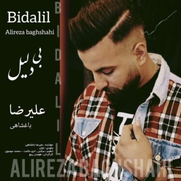 دانلود آهنگ جدید علیرضا باغشاهی بی دلیل